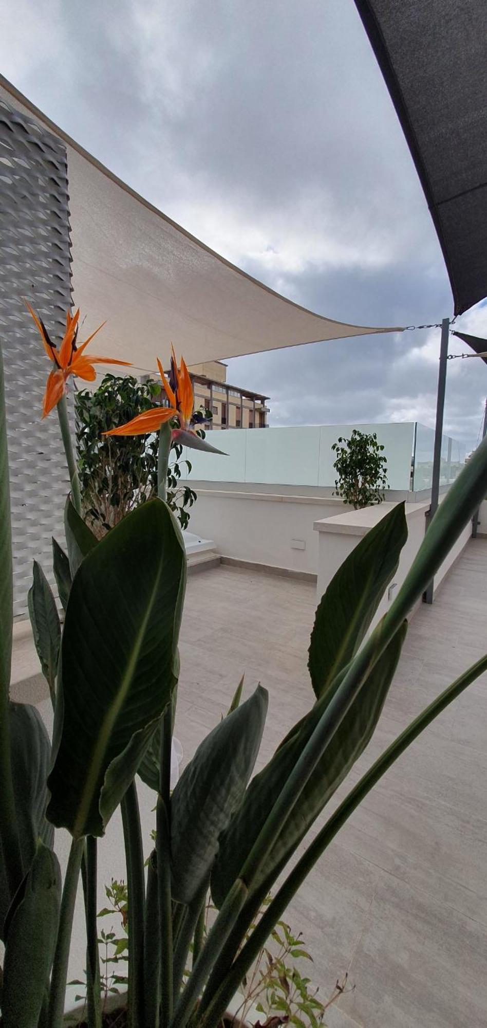 My House Luxury Home Marsala Exterior foto